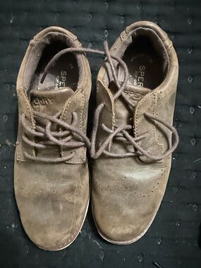 Sperry boys  Tan Suede Chukka Boots
